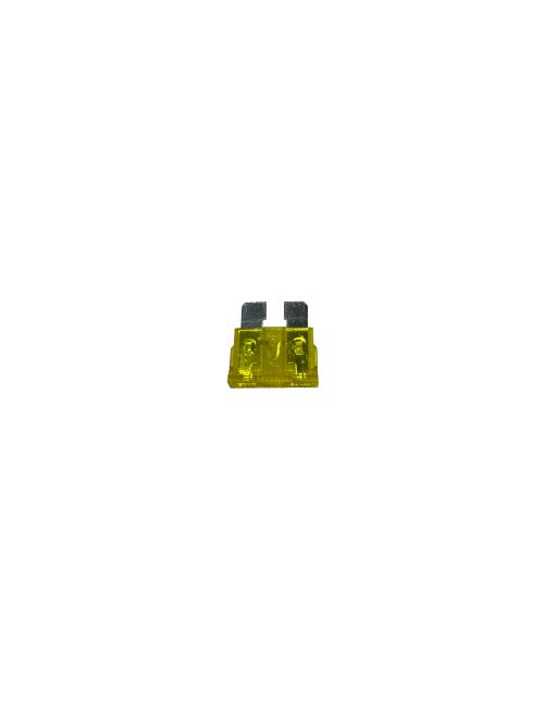 Nemesis 20A Fuse